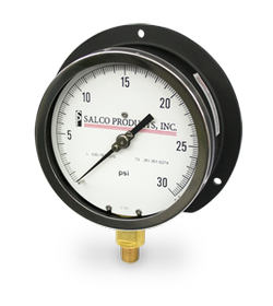 Pressure Gauge 0-30 psi