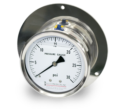 Pressure Gauge 0-30 psi