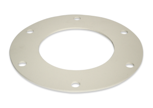 Flange Gasket 5"