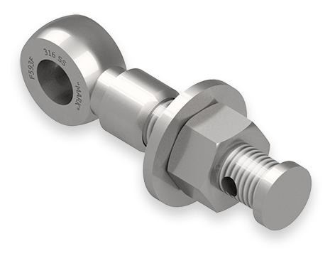 1 x 5-1/2-Inch Stainless Steel Eyebolt Assembly with Seal Hole and Safety Collar, Heavy Hex Nut