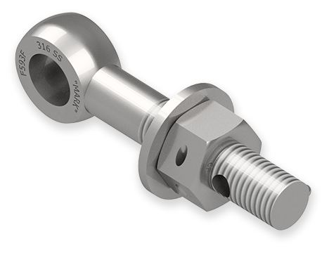 7/8 x 5-Inch Stainless Steel Eyebolt Assembly with 2 Seal Holes, Heavy Hex Nut