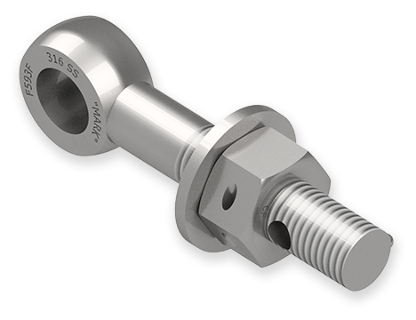 7/8 x 5-Inch Stainless Steel Eyebolt Assembly with 2 Seal Holes, Heavy Hex Nut