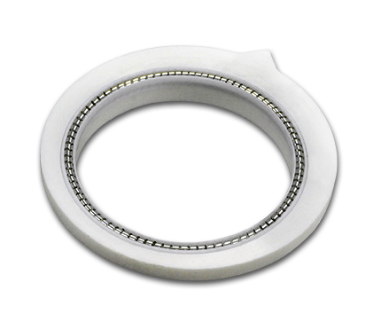 Valve Seal Assembly