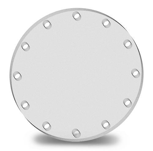 Sight Glass Blind Flange 12"